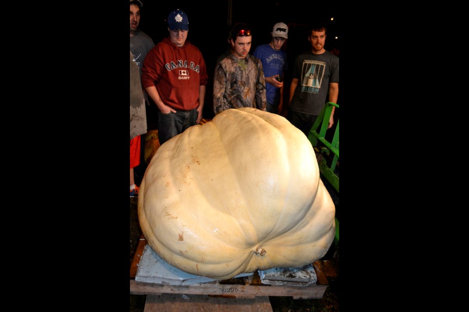 Pumpkin enthusiasts of all ages filled Fairlight's community hall at this year's 16th Annual Pumpkin Weigh-In on Saturday, Oct. 3. After a barbeque supper, 27 entries were weighed, with a 675-pound pumpkin-grown by Doug Whitehead of Arcola taking first prize.