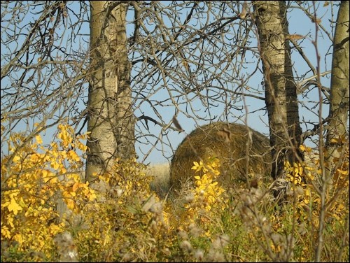 fall rural scene pic