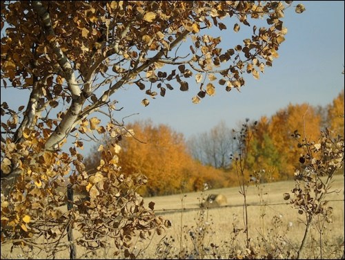 fall rural scene pic