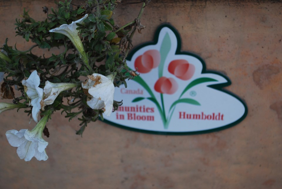Comm in Bloom