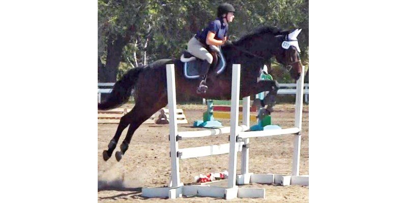 Kassidy Petruk riding Tucker participated at the Willow Ridge Stables equestrian competition near Saskatoon recently.