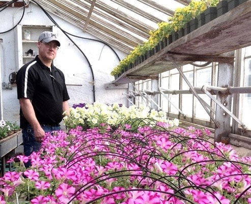 city greenhouse pic