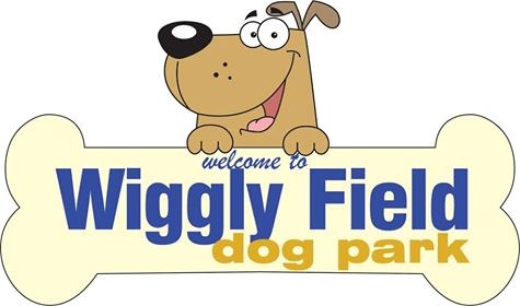 Wiggly Field