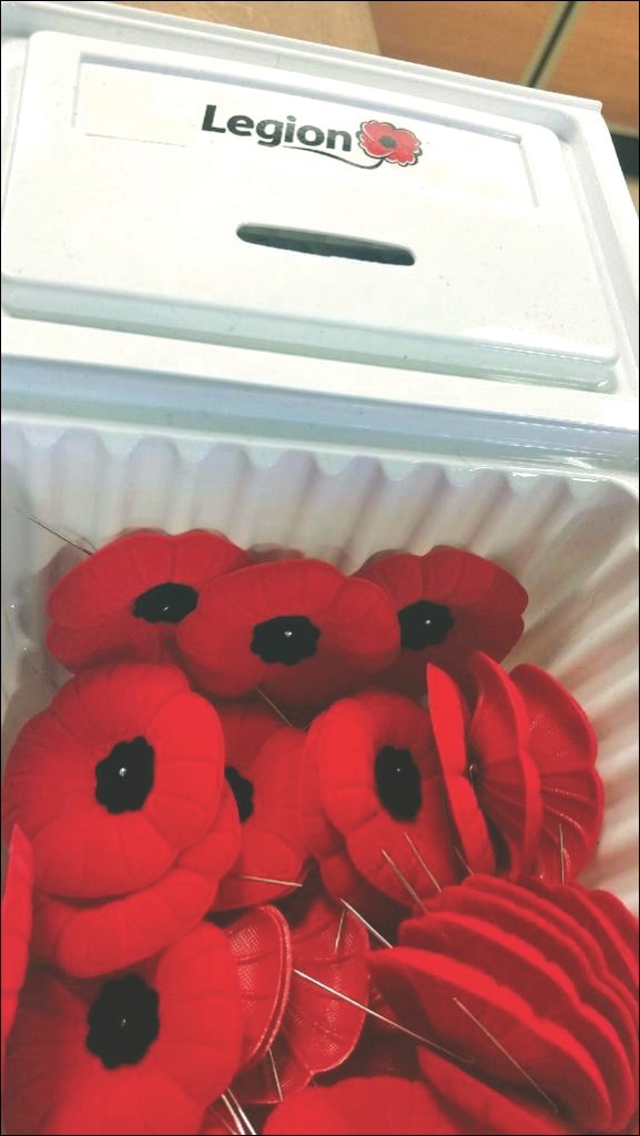 Poppies