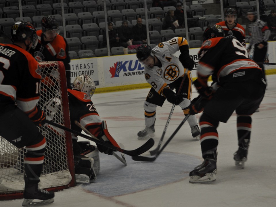 bruins terriers douglas nov 2015