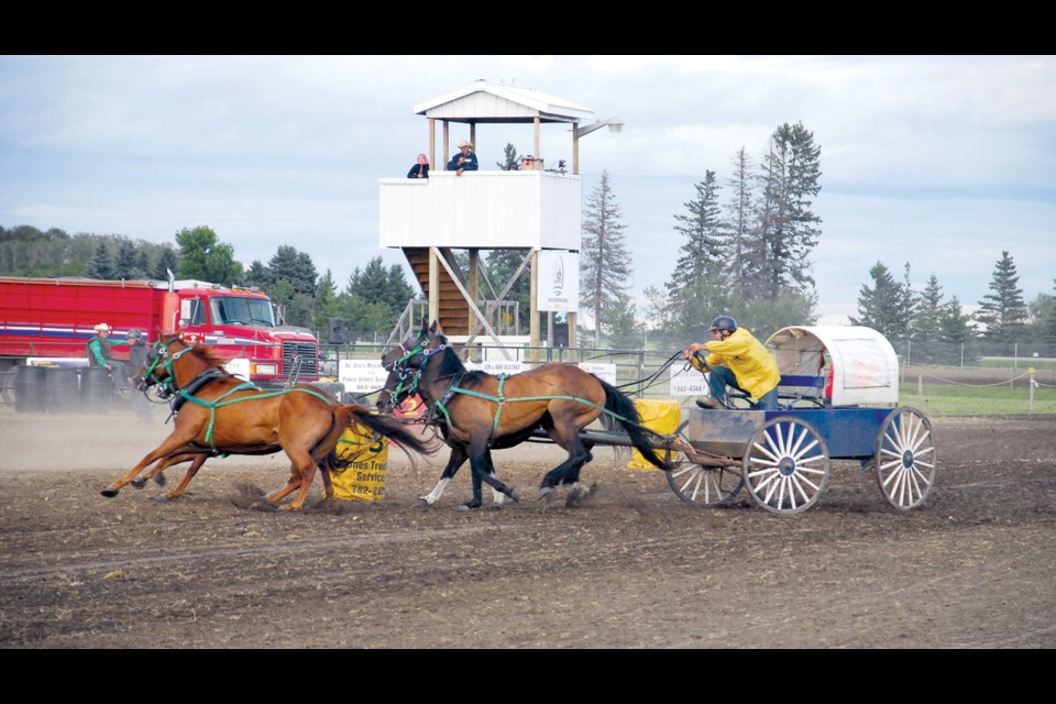 Buddy Prouse: Being from Invermay, Buddy Prouse has become a local favourite among the chuckwagon drivers. Though he was recording some good times, a penalty for hitting the barrow at the start cost him a top placement.