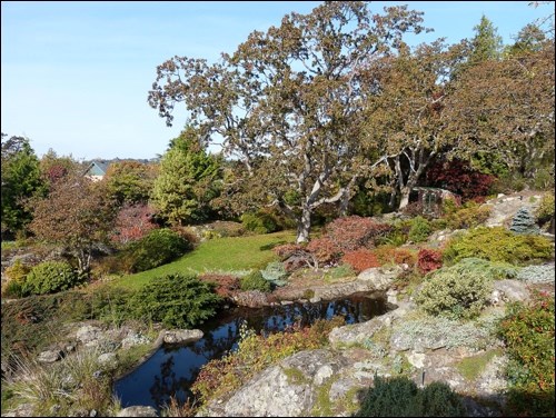 Higher than some of the surrounding the area, this garden with its rock, water, mature plants and careful design is open to the skies and yet has provided a peaceful sanctuary for nearly 70 years.