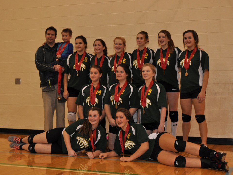 carlyle cougars freshman volleyball nov 2015