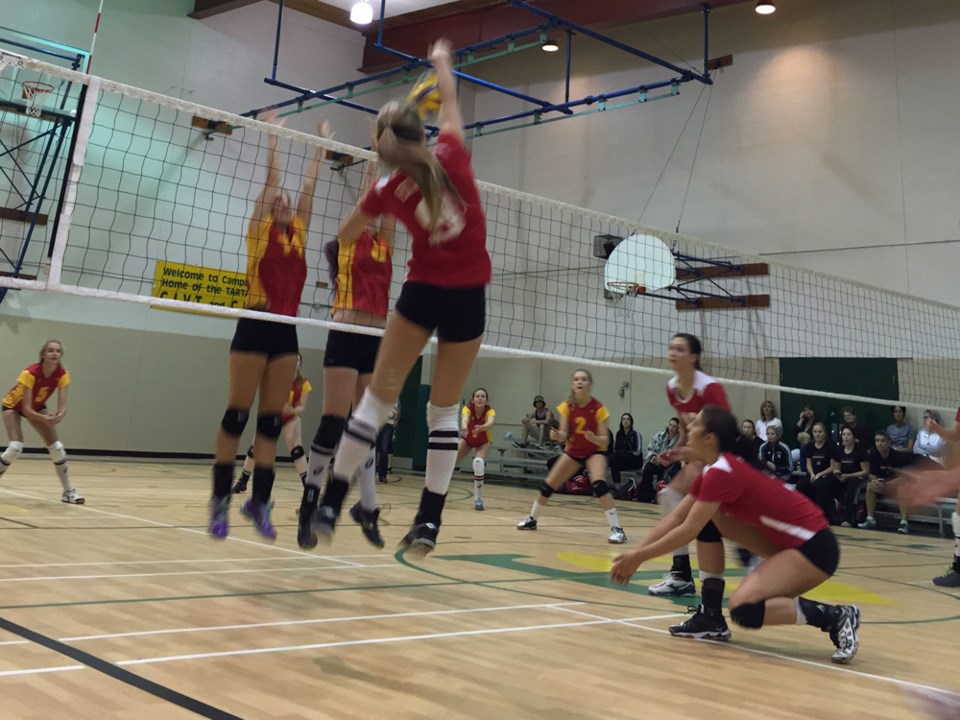 elecs sr girls vball nov 2015