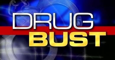 Drug Bust