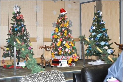 Festival of Trees 2015_5
