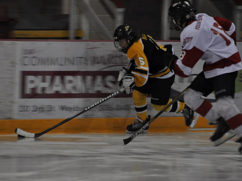 peewee bruins nov 2015