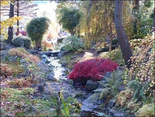 A view of the Horticulture Centre of the Pacific Japanese Garden. Photo by Sara Williams