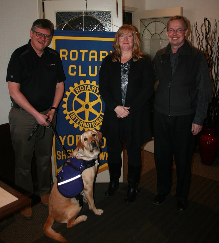 National Service Dogs