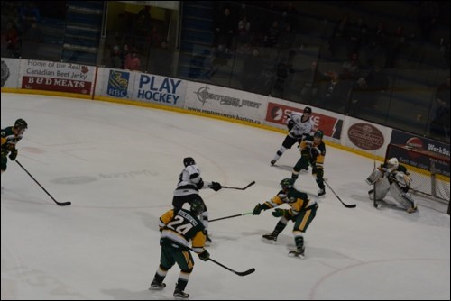 North Stars