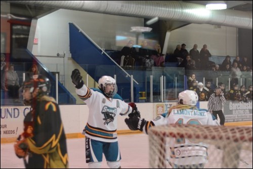 AAA Sharks