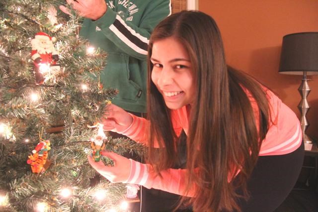 9419 Giovanna Christmas