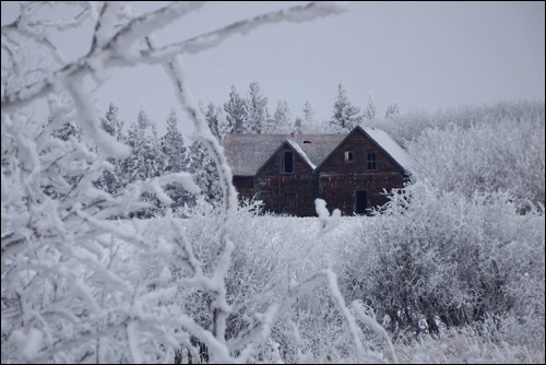 winter rural scene pic