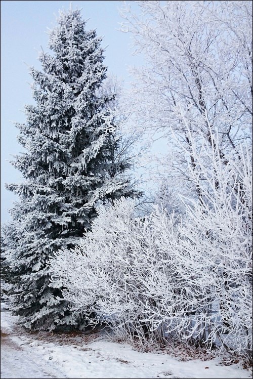 winter