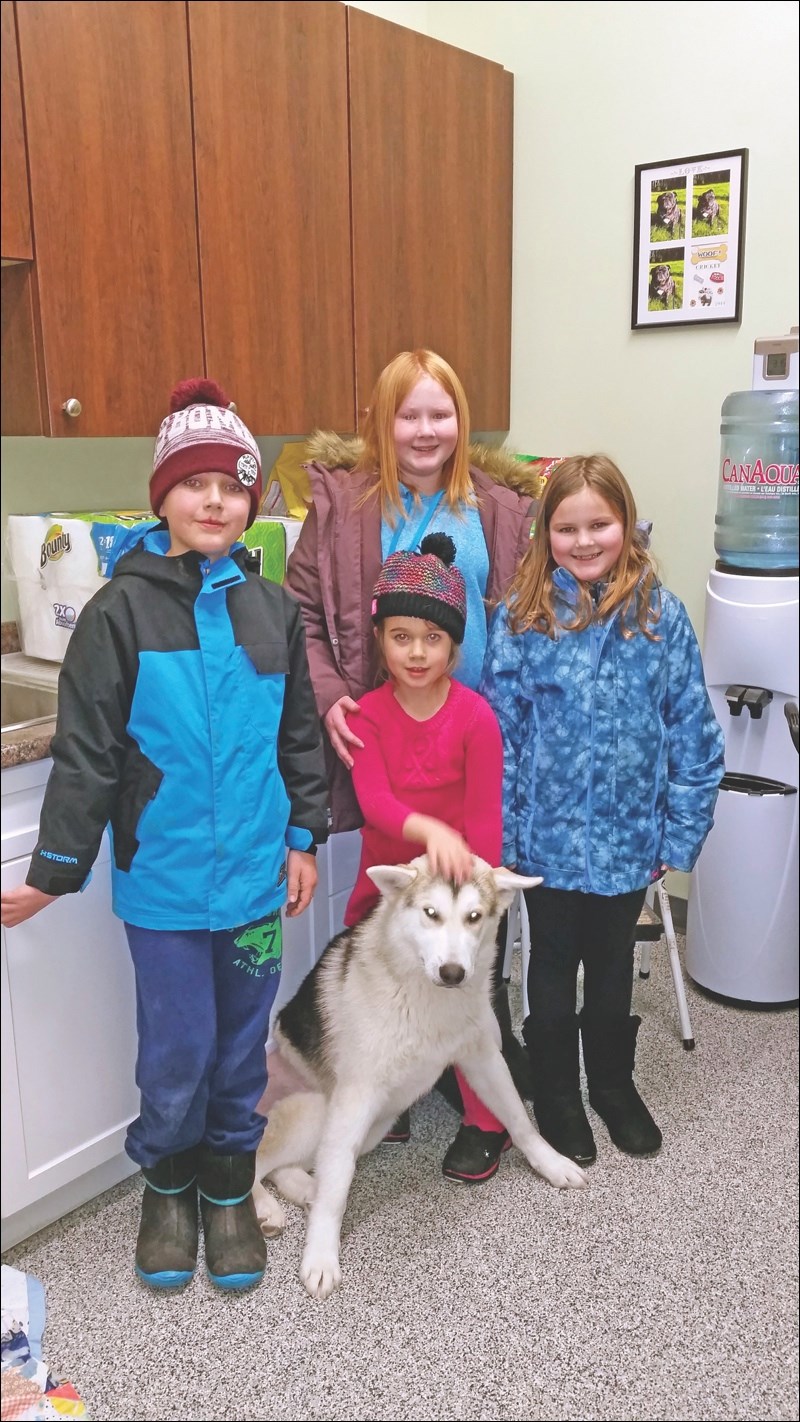 SPCA Donation