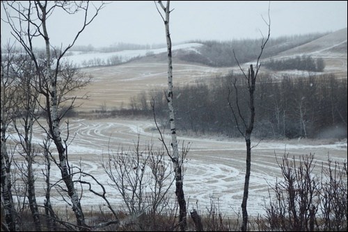 winter rural scene pic