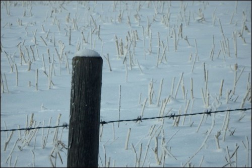 winter rural scene pic