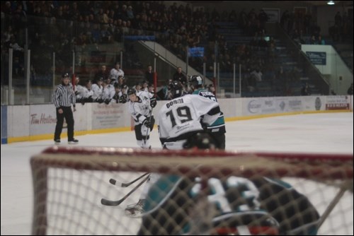 North Stars