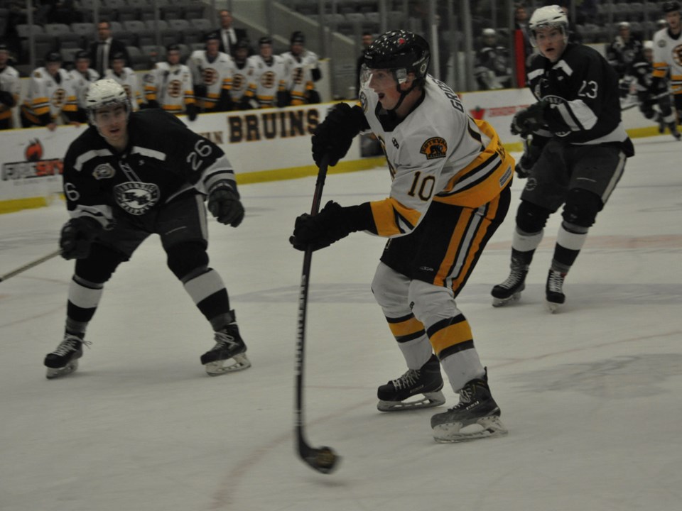 bruins gross jan 2016