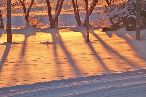 winter rural scene pic