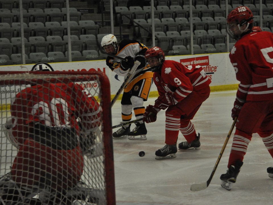 apex bruins morrison jan 2016