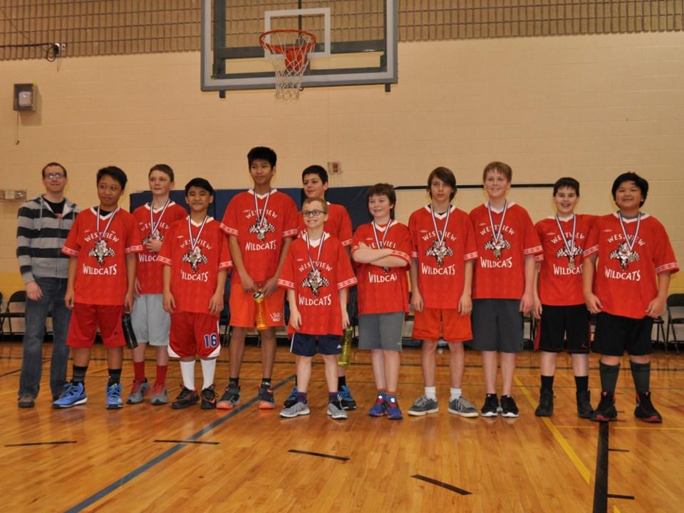 westview wildcats feb 2016