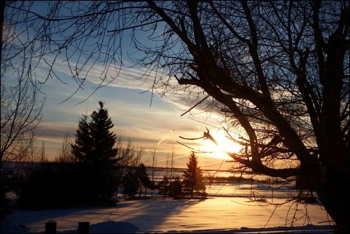 winter rural scene pic