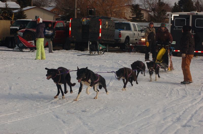 Kirsten Murray got off to a great start that helped her win the junior dog race in Preeceville.