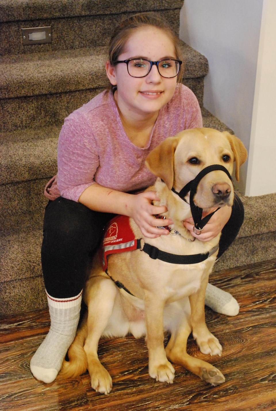 Diabetic Service Dog