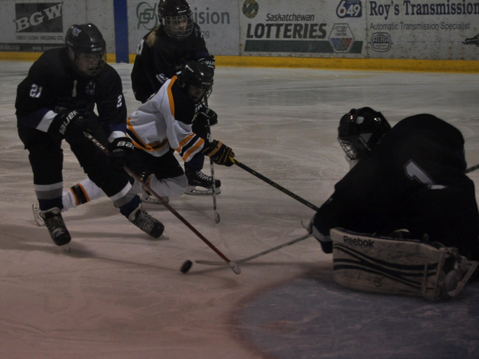 prairie mud bruins feb 2016