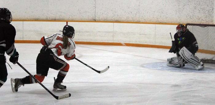 Yorkton Gardon Crushers