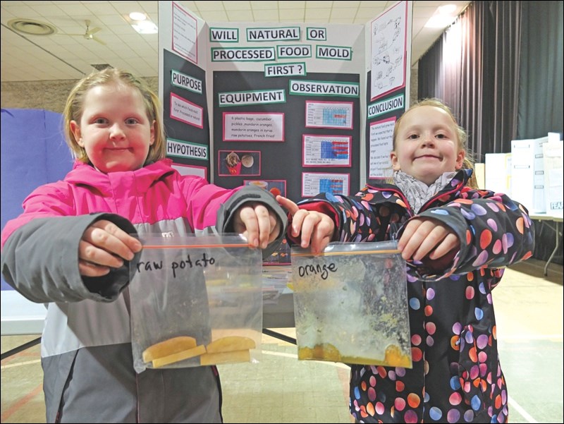 Twin sisters Drew and Corey Rideout hold up samples of food in plastic baggies in front of their project, “Will Natural or Processed Food Mold First?” Missing is their project partner, Annika Meikle.