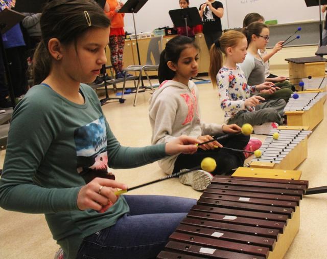 APES band