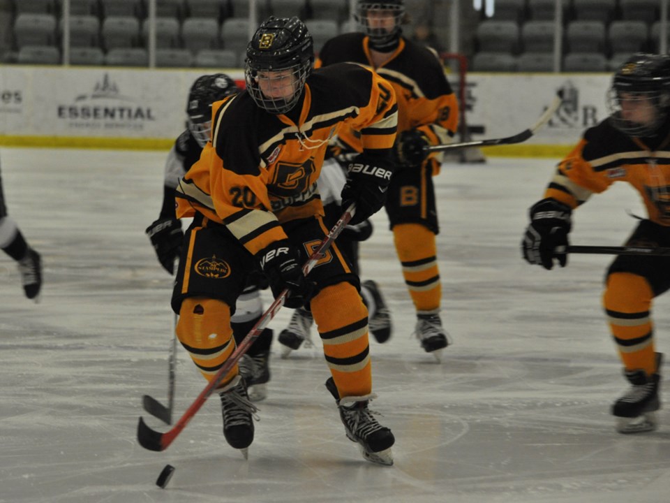 bantam bruins palmer march 2016