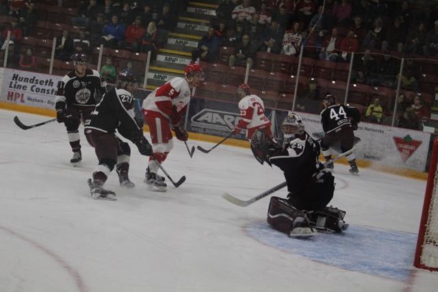 Red Wings