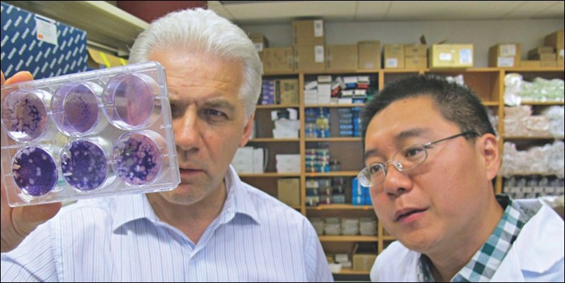 Tom Hobman and Zack Zu in the University of Alberta lab.
