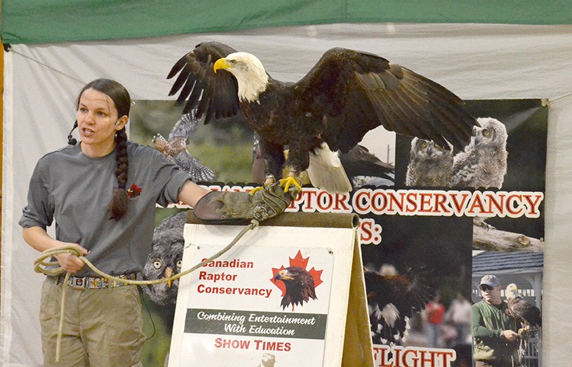 Wild Life Show