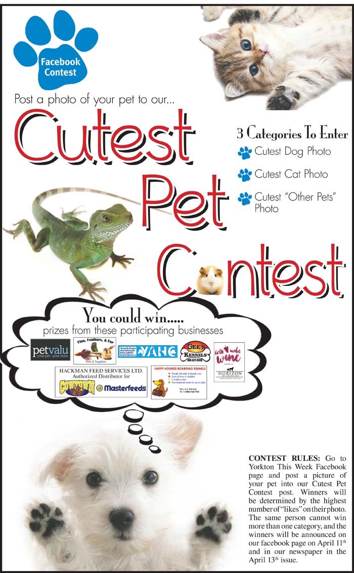 Cutest Pet Contest