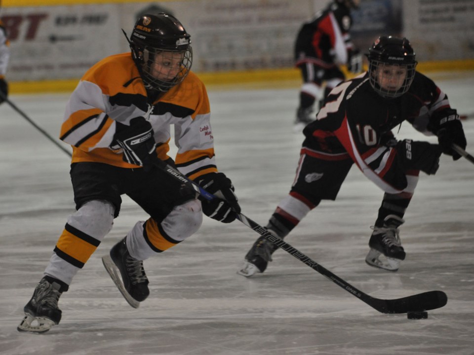 atom bruins hins march 2016
