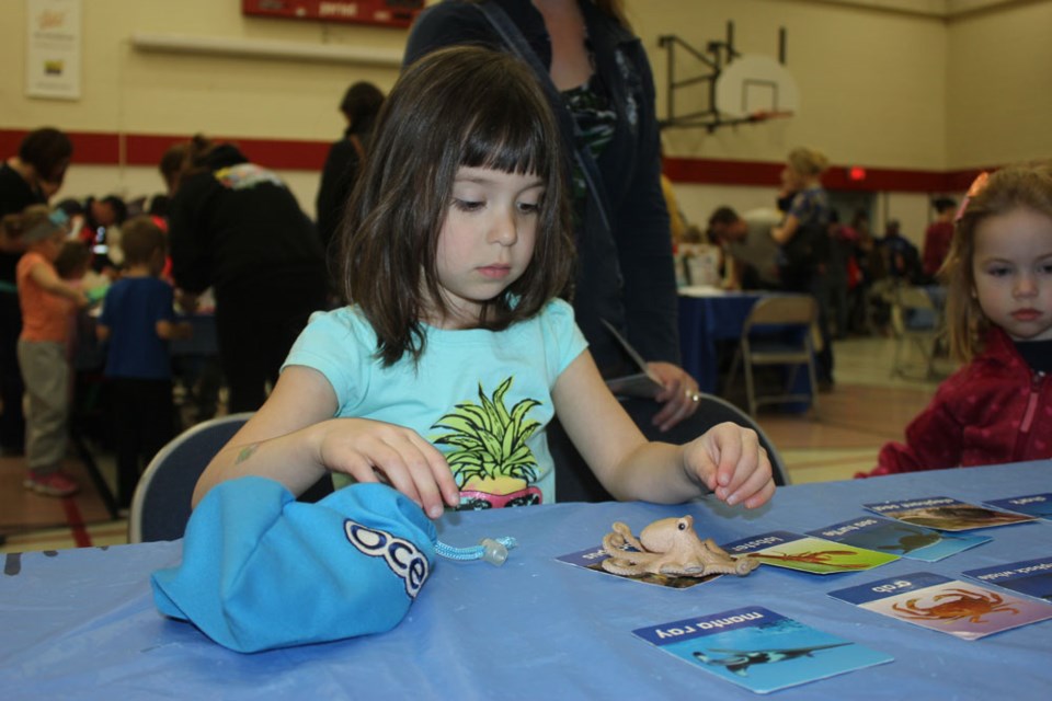 Early Childhood Fair