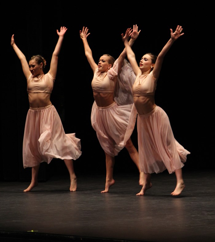 Parkland Dance Festival