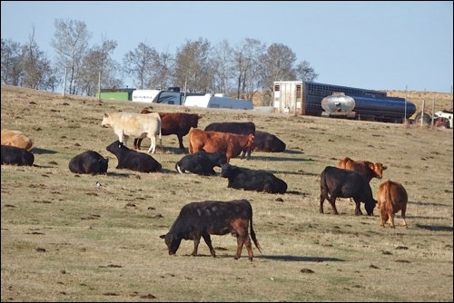 spring rural scene pic