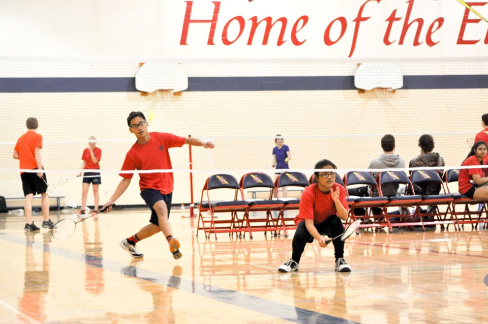 Badminton pic