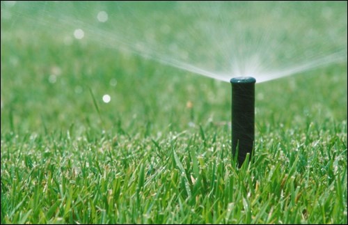 sprinkler