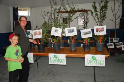 Elly Luijke-Carlson and her son Lucien had a look at all the trees that were up for auction at the social and tree auction for the Canora branch of the Royal Canadian Legion on Friday.